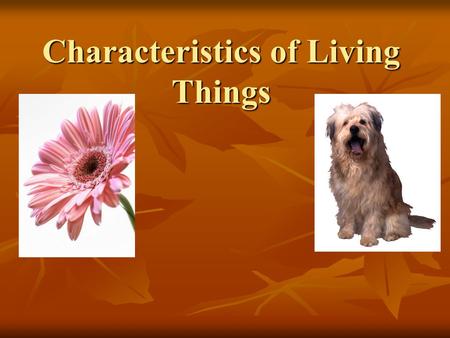 Characteristics of Living Things. 1- Cellular Organization Living things are all composed of cells. Living things are all composed of cells. Cells are.
