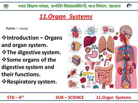 STD – 6 th SUB – SCIENCE 11.Organ Systems Presented By -Panchal Amol Points to study 11.Organ Systems  Introduction – Organs and organ system.  The digestive.