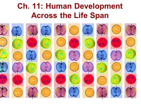 Ch. 11: Human Development Across the Life Span 1.