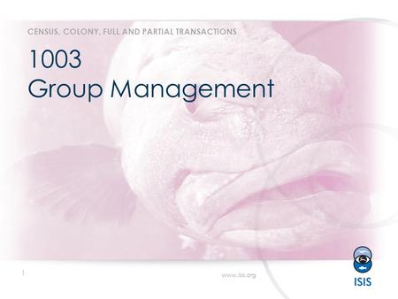 1 www.isis.org 1003 Group Management CENSUS, COLONY, FULL AND PARTIAL TRANSACTIONS.