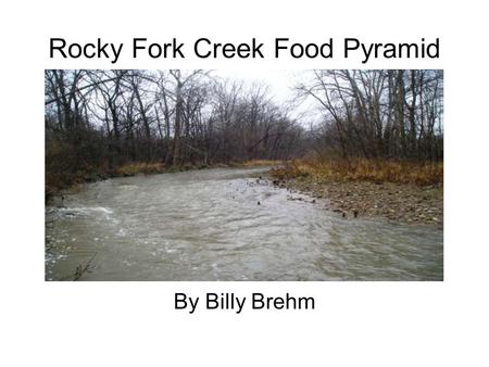 Rocky Fork Creek Food Pyramid By Billy Brehm. Creek Food Pyramid Producers – also known as autotrophs, are at the bottom of the pyramid, after raw materials.