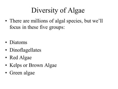 Diversity of Algae There are millions of algal species, but we’ll focus in these five groups: Diatoms Dinoflagellates Red Algae Kelps or Brown Algae Green.