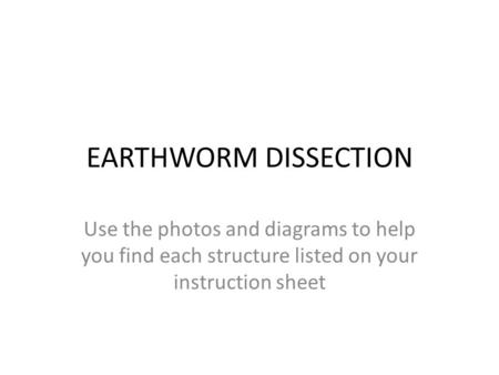 EARTHWORM DISSECTION Use the photos and diagrams to help you find each structure listed on your instruction sheet.