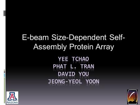 E-beam Size-Dependent Self- Assembly Protein Array.