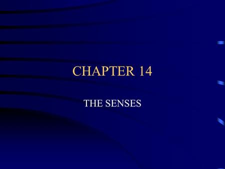 CHAPTER 14 THE SENSES RECEPTORS RECEIVE INFORMATION AND SEND IT TO THE BRAIN FOR PROCESSING.
