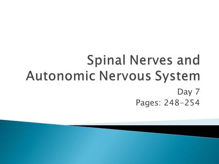 Day 7 Pages: 248-254.  31 Pairs  Mixed nerves that provide 2-way communication between spinal cord and limbs, neck, and trunk  Named individually,