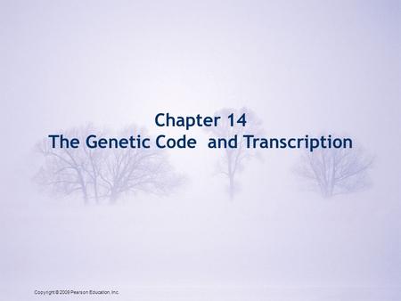 Copyright © 2009 Pearson Education, Inc. Chapter 14 The Genetic Code and Transcription Copyright © 2009 Pearson Education, Inc.