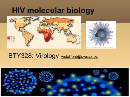 HIV molecular biology BTY328: Virology