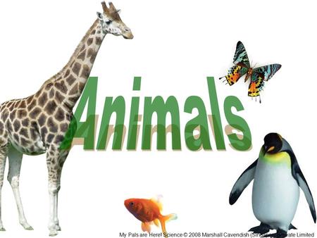 Animals My Pals are Here! Science © 2008 Marshall Cavendish (Singapore) Private Limited.