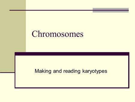 Making and reading karyotypes