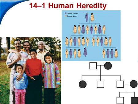 14–1 Human Heredity 14-1 Human Heredity