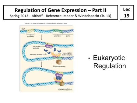 Regulation of Gene Expression – Part II