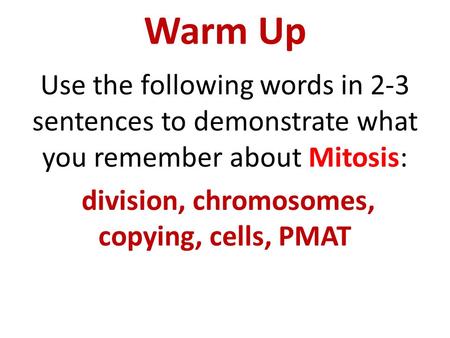 Warm Up Use the following words in 2-3 sentences to demonstrate what you remember about Mitosis: division, chromosomes, copying, cells, PMAT.