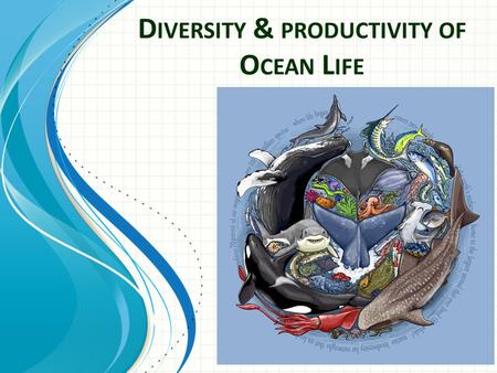 D IVERSITY & PRODUCTIVITY OF O CEAN L IFE.  Classification is a way of organizing living things  Things that live in the ocean are called marine organism.