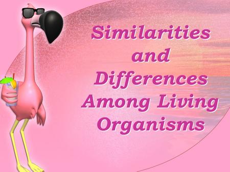 Similarities and Differences Among Living Organisms.