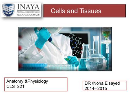 DR /Noha Elsayed 2014--2015 Anatomy &Physiology CLS 221 Cells and Tissues.