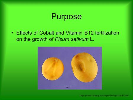 Purpose Effects of Cobalt and Vitamin B12 fertilization on the growth of Pisum sativum L.