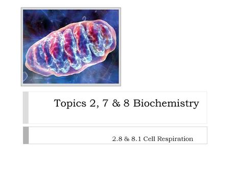 Topics 2, 7 & 8 Biochemistry 2.8 & 8.1 Cell Respiration.