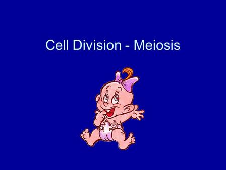 Cell Division - Meiosis