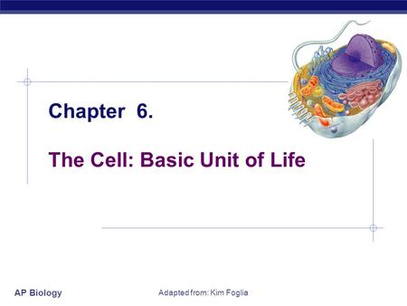 Chapter 6. The Cell: Basic Unit of Life