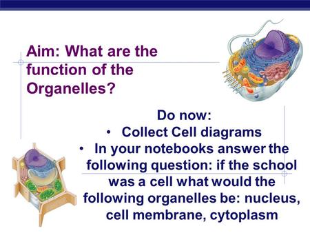 AP Biology Aim: What are the function of the Organelles? Do now: Collect Cell diagrams In your notebooks answer the following question: if the school.