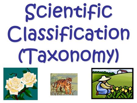 Scientific Classification (Taxonomy). It’s a Bird! It’s a Plane! It’s All of the Above! What do all of these things have in common? Look closely and try.