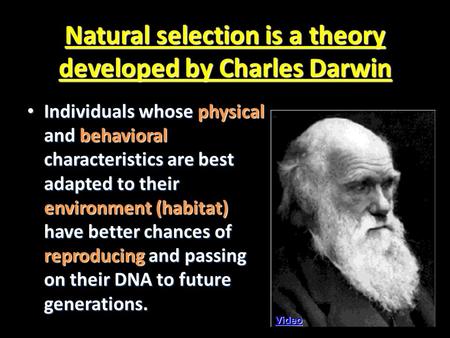 Natural selection is a theory developed by Charles Darwin Individuals whose physical and behavioral characteristics are best adapted to their environment.
