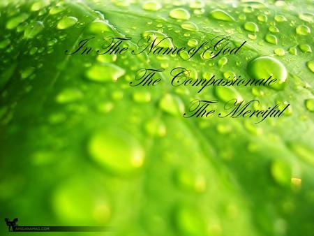 In The Name of God The Compassionate The Merciful.