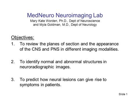 MedNeuro Neuroimaging Lab Mary Kate Worden, Ph.D., Dept of Neuroscience and Myla Goldman, M.D., Dept of Neurology Objectives: 1.To review the planes of.