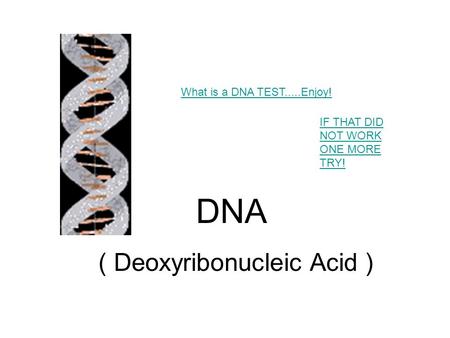 DNA What is a DNA TEST.....Enjoy! ( Deoxyribonucleic Acid ) IF THAT DID NOT WORK ONE MORE TRY!