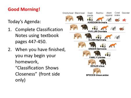 Good Morning! Today’s Agenda: 1.Complete Classification Notes using textbook pages 447-450. 2.When you have finished, you may begin your homework, “Classification.