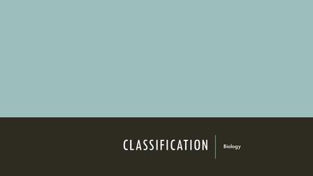 Classification Biology.