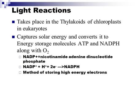 Light Reactions Takes place in the Thylakoids of chloroplasts in eukaryotes Captures solar energy and converts it to Energy storage molecules ATP and NADPH.