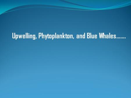 Upwelling, Phytoplankton, and Blue Whales…….. Thermohaline circulation (thermo=temperature, haline=salt) Water in the ocean is in motion: the wind pushes.