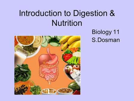 Introduction to Digestion & Nutrition