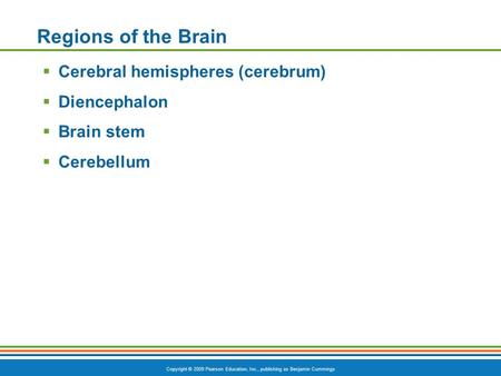 Copyright © 2009 Pearson Education, Inc., publishing as Benjamin Cummings Regions of the Brain  Cerebral hemispheres (cerebrum)  Diencephalon  Brain.