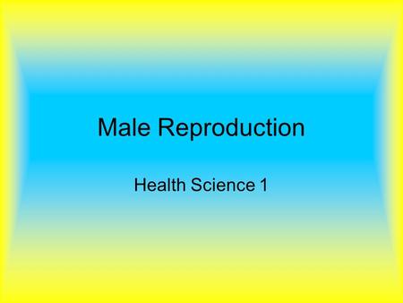 Male Reproduction Health Science 1. Function Designed to produce and release billions of spermatozoa throughout the lifetime from puberty onward Secretes.