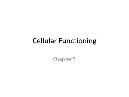 Cellular Functioning Chapter 5. CELLULAR MEMBRANES.