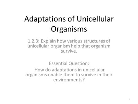 Adaptations of Unicellular Organisms