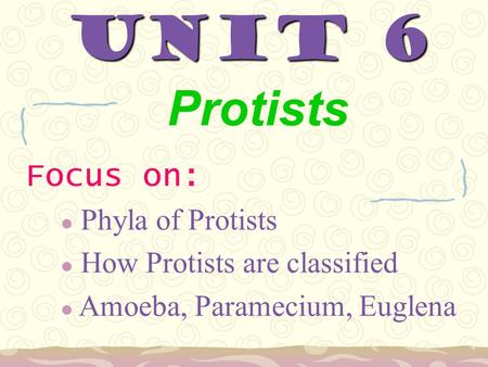 UNIT 6 Protists Focus on: Phyla of Protists