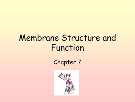 Membrane Structure and Function Chapter 7. Plasma membrane of cell selectively permeable (allows some substances to cross more easily than others) Made.