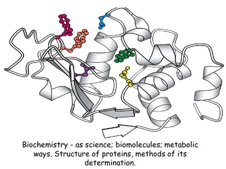 Biochemistry - as science; biomolecules; metabolic ways. Structure of proteins, methods of its determination.