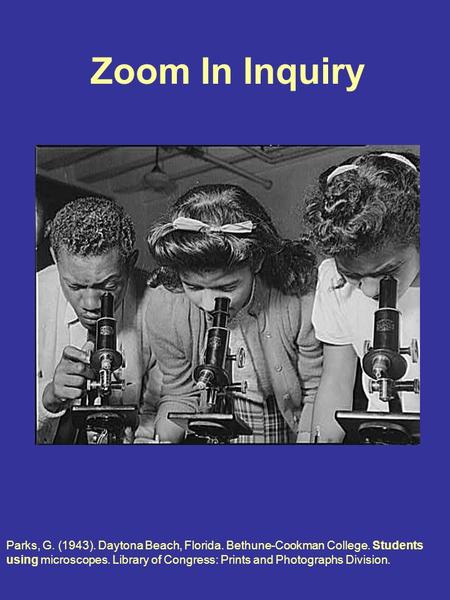 Zoom In Inquiry Parks, G. (1943). Daytona Beach, Florida. Bethune-Cookman College. Students using microscopes. Library of Congress: Prints and Photographs.