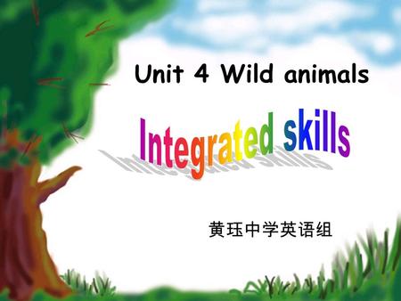 Unit 4 Wild animals 黄珏中学英语组. Appearance （外貌） : Food: black and white ， lovely bamboo shoots and leaves.