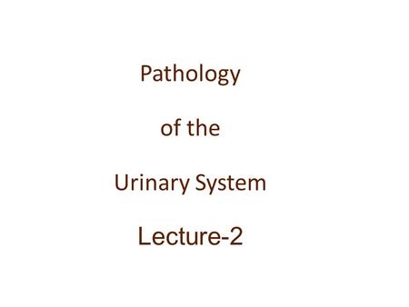Pathology of the Urinary System Lecture-2. Recap.. Anatomy and physiology of kidney Structure of nephron and components Functional aspects Clinical aspects.