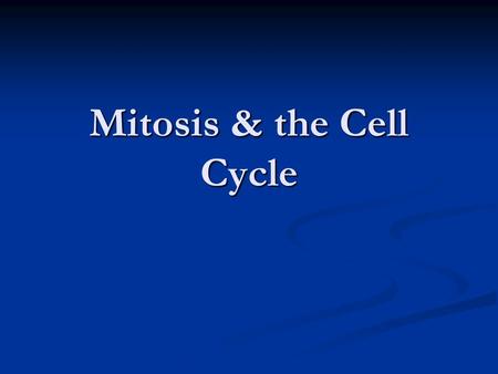 Mitosis & the Cell Cycle. Cell Growth & Development Are cells of organisms the same size? Do your cells get bigger as you grow, or do you just produce.