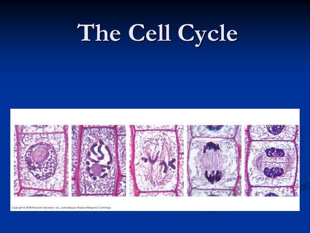 The Cell Cycle. In unicellular organisms, division of one cell reproduces the entire organism In unicellular organisms, division of one cell reproduces.