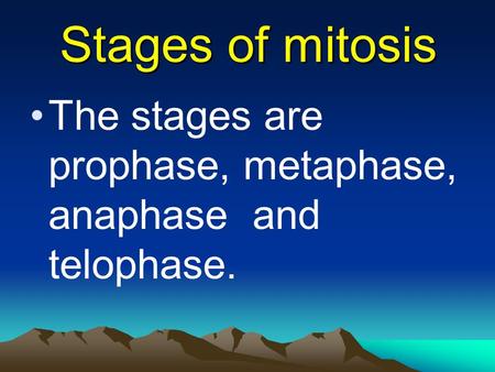 Stages of mitosis The stages are prophase, metaphase, anaphase and telophase.