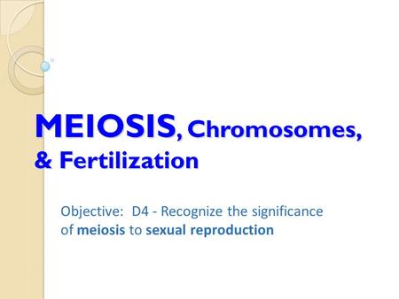 MEIOSIS, Chromosomes, & Fertilization Objective: D4 - Recognize the significance of meiosis to sexual reproduction.