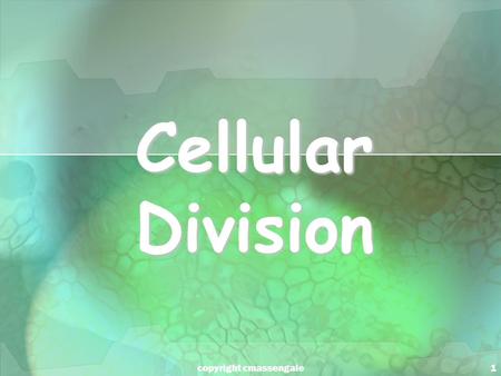 1 Cellular Division copyright cmassengale. 2 Cell Division All cells are derived from pre- existing cells All cells are derived from pre- existing cells.